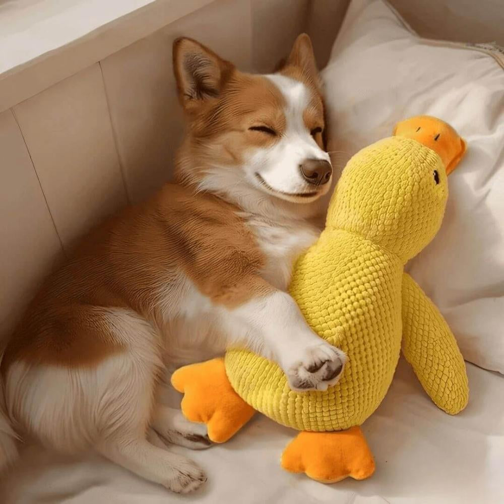 Brinquedo Pato Calmante da Veluna