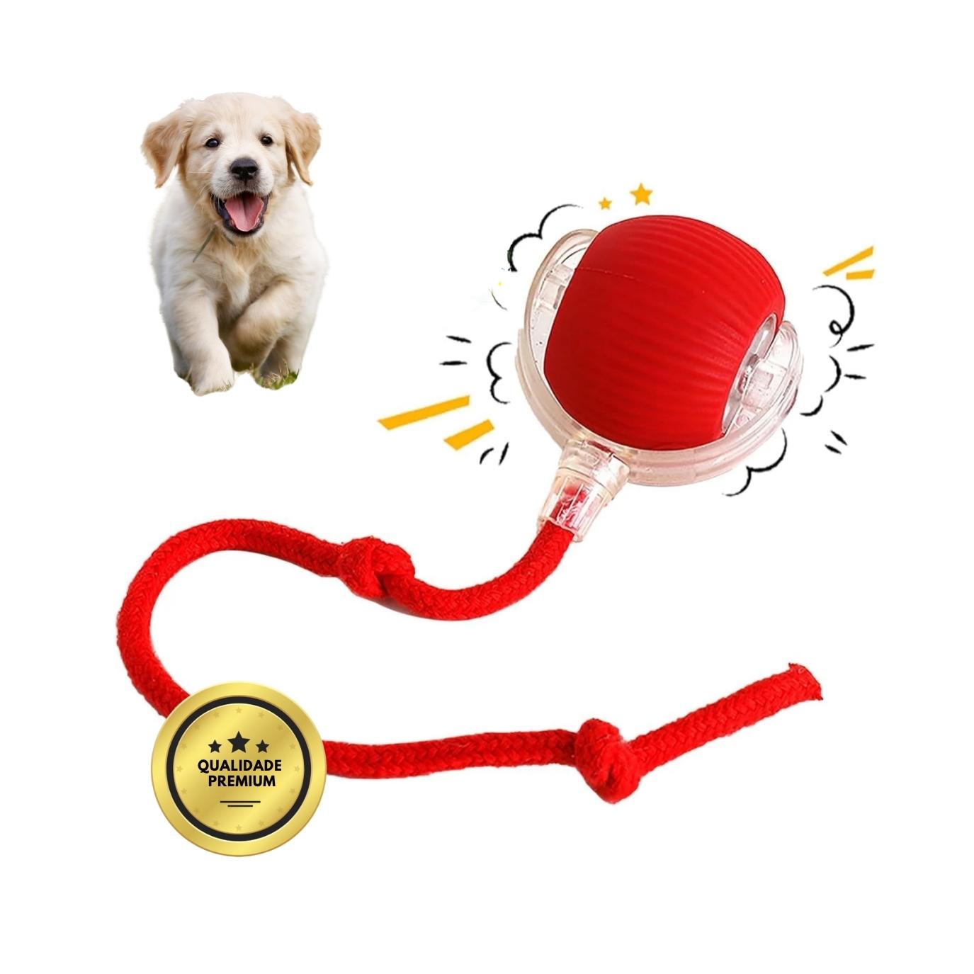 BOLAVIVA – Bola inteligente 100 % autónoma para cães
