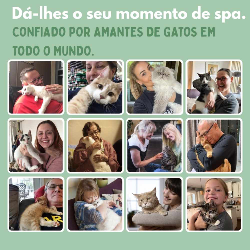 Brinquedo interativo de rato para gatos
