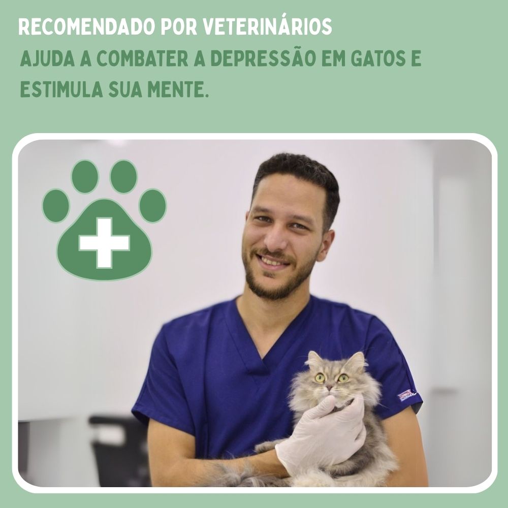 Brinquedo interativo de rato para gatos