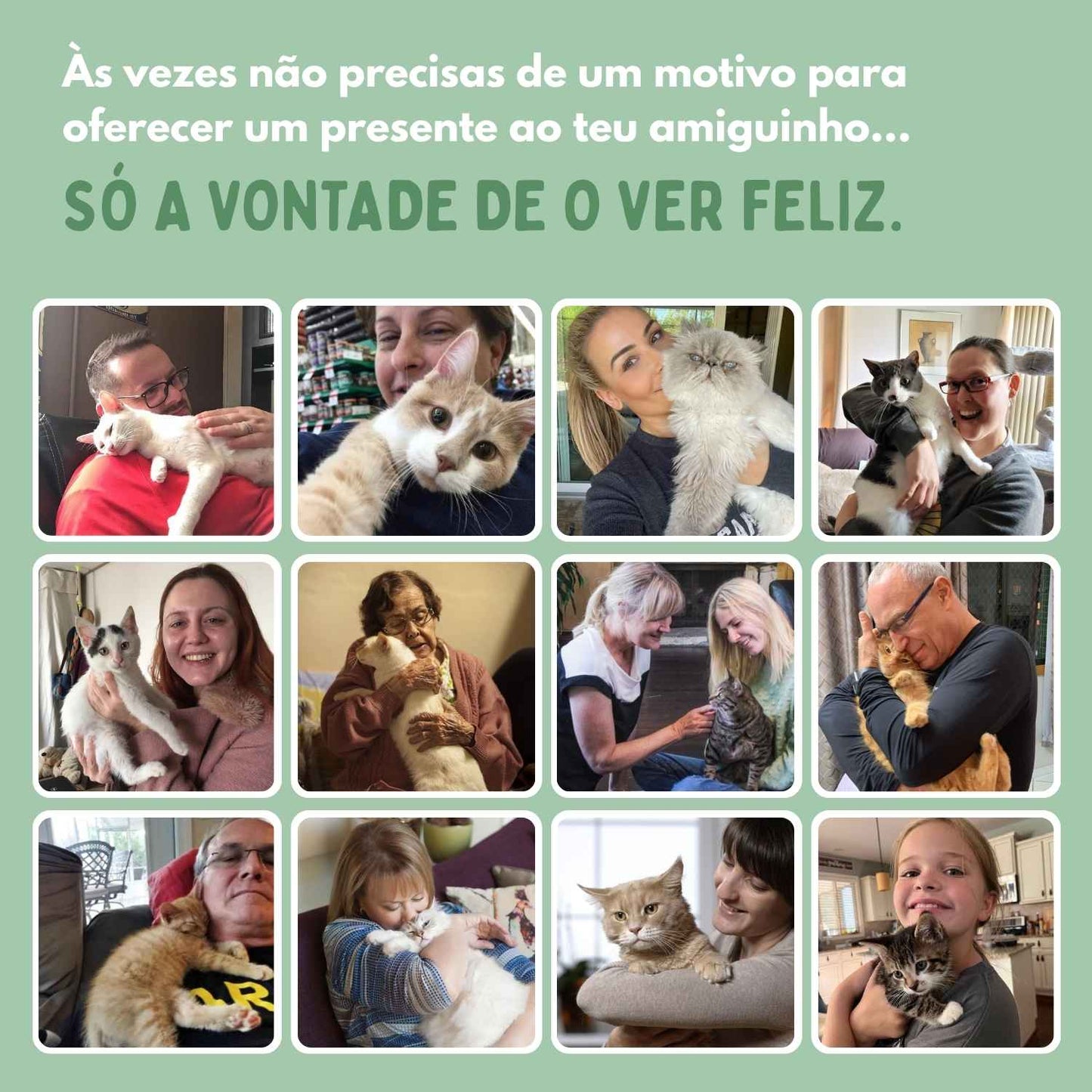 BOLAVIVA – Bola inteligente 100% autónoma, concebida para imitar uma presa real