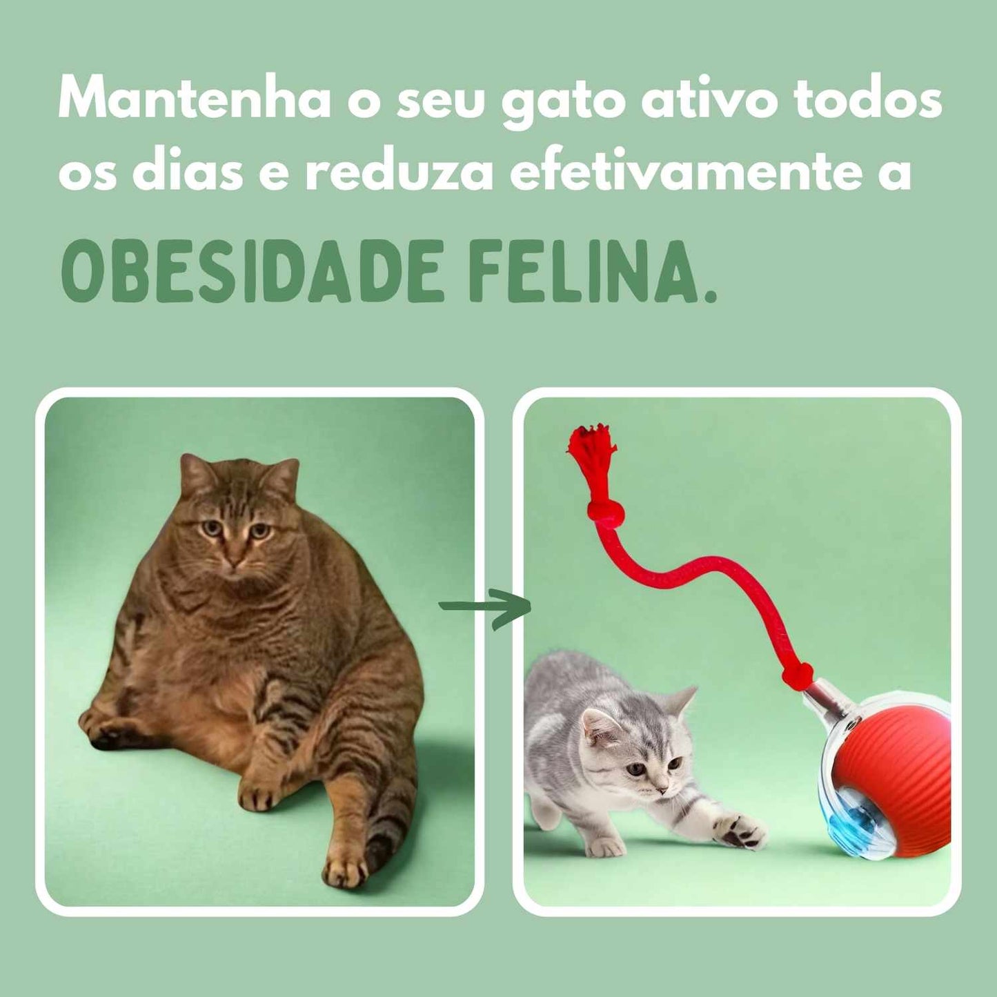 BOLAVIVA – Bola inteligente 100% autónoma, concebida para imitar uma presa real
