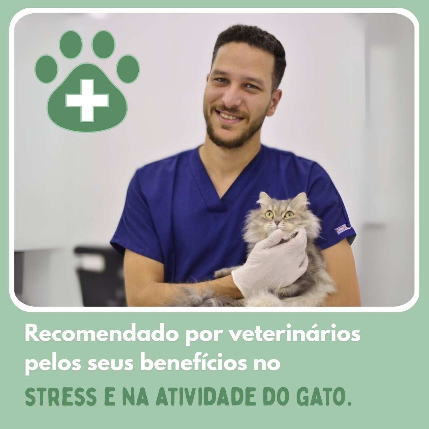 BOLAVIVA – Bola inteligente 100% autónoma, concebida para imitar uma presa real