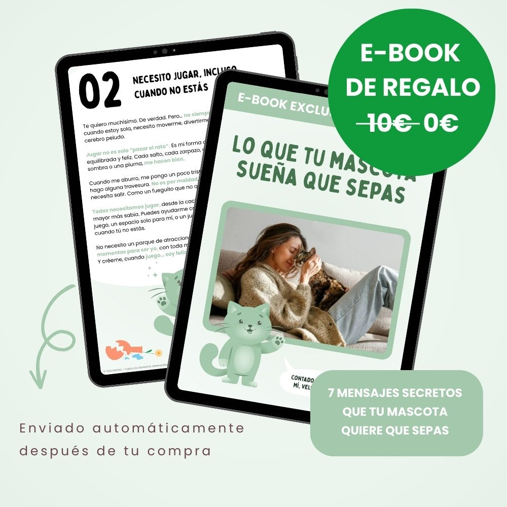 BOLAVIVA – Bola inteligente 100 % autónoma para cães
