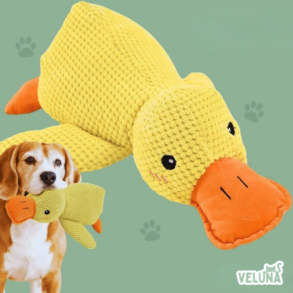 Brinquedo Pato Calmante da Veluna