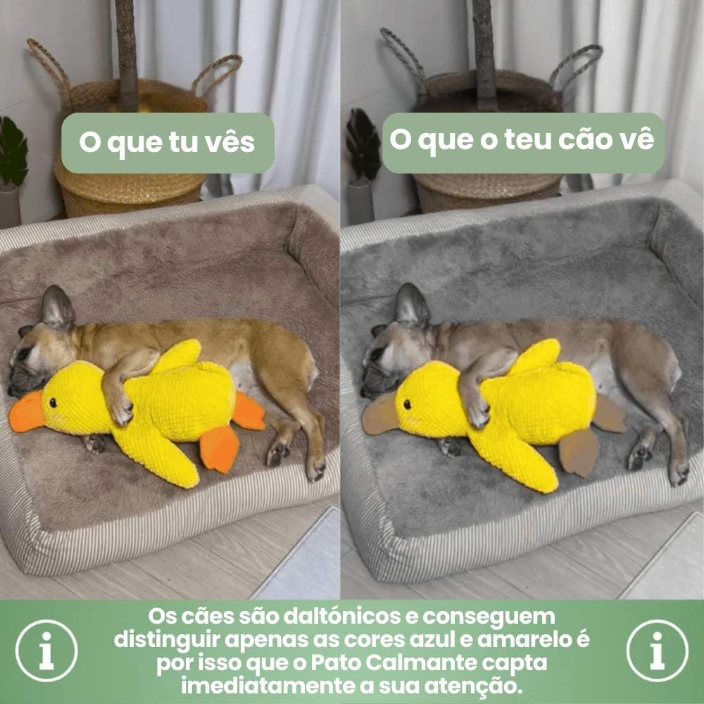 Brinquedo Pato Calmante da Veluna