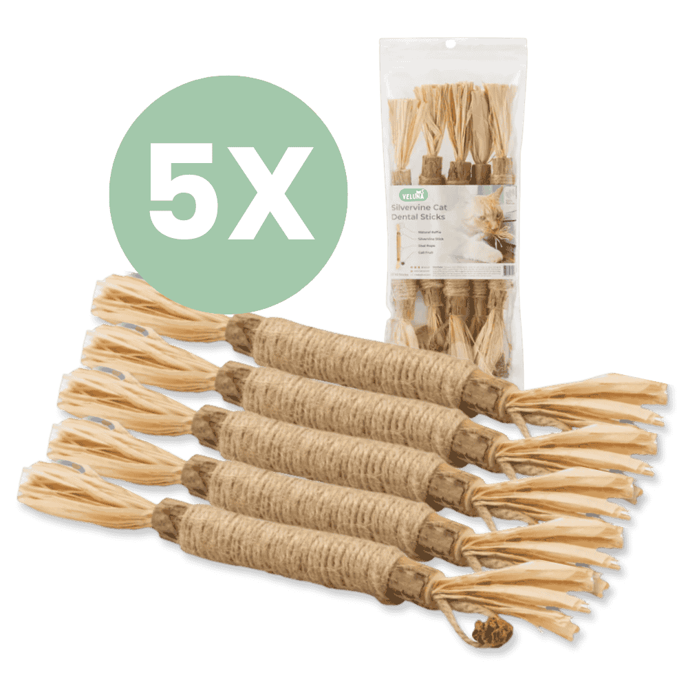 DentaSticks - Palitos Dentais de Silvervine para Gatos