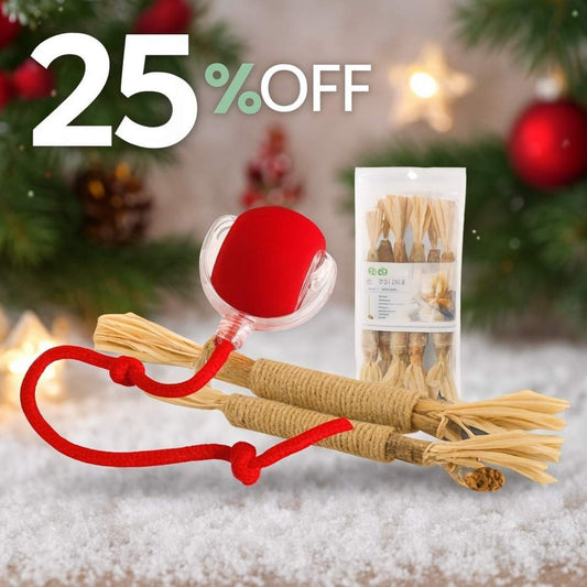 Pack Diversão & Saúde