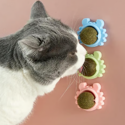 Bola de parede com erva-gateira