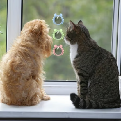 Bola de parede com erva-gateira