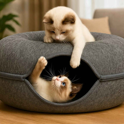Abrigo aconchegante e tocar túnel para seus gatos