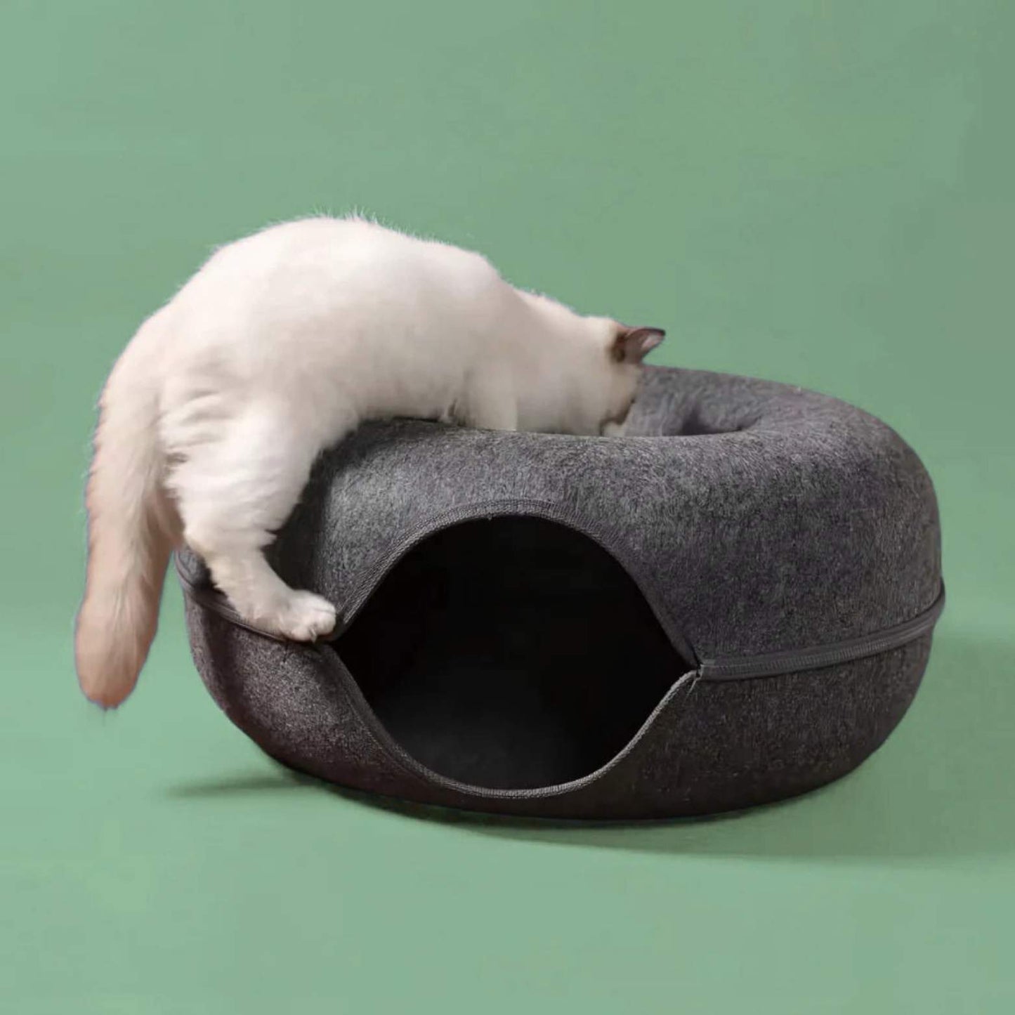Abrigo aconchegante e tocar túnel para seus gatos