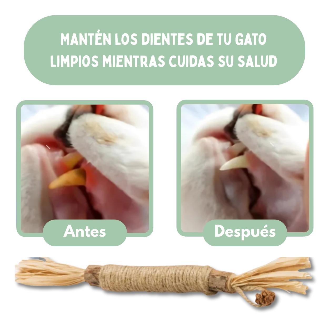 DentaSticks