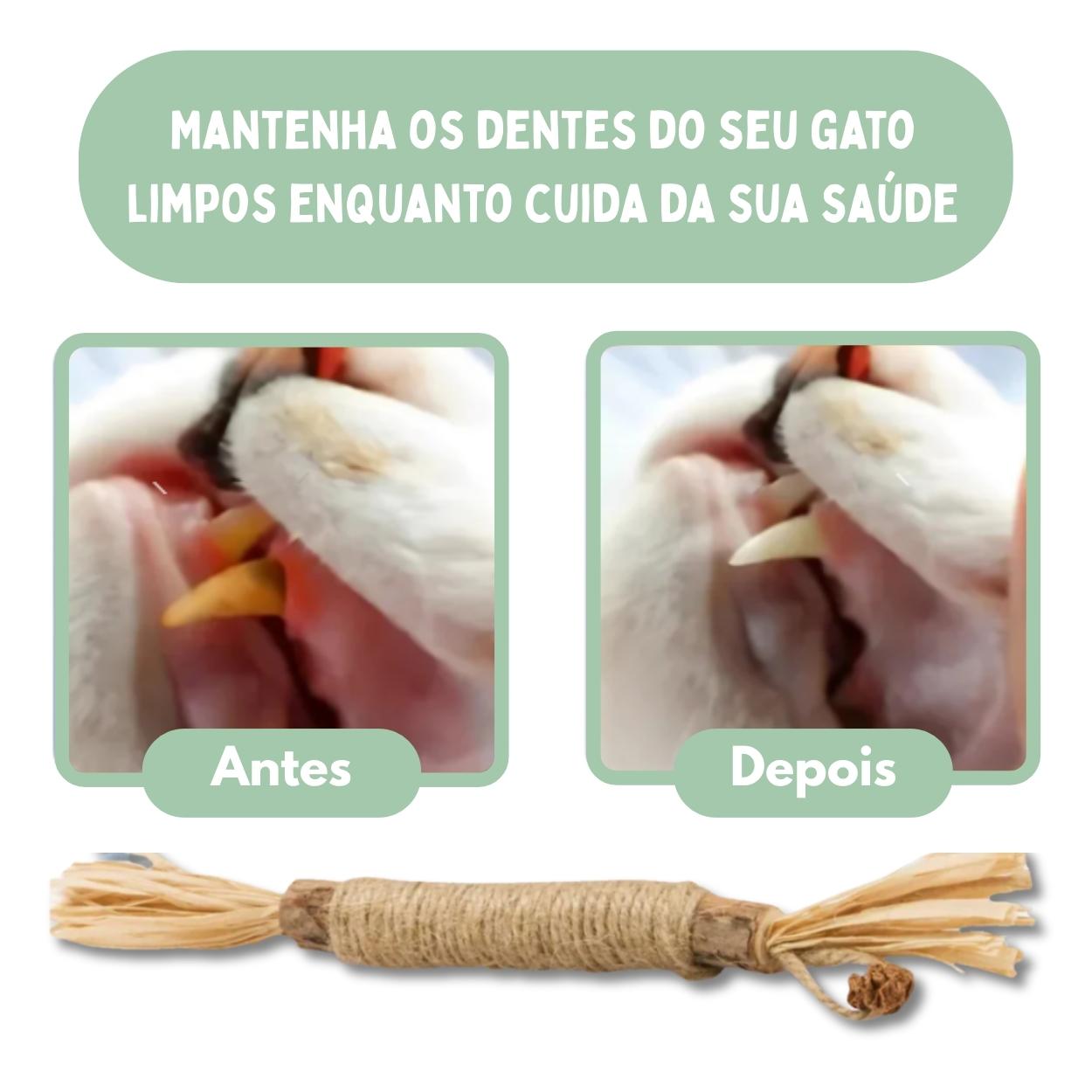 Bastões Dentais de Silvervine para Gatos