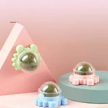 Bola de parede com erva-gateira