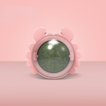 Bola de parede com erva-gateira