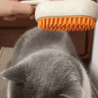 Escova a Vapor Multifuncional 4 em 1 para gatos