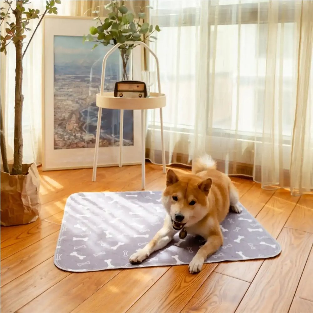Veluna PuppyPad para Cães
