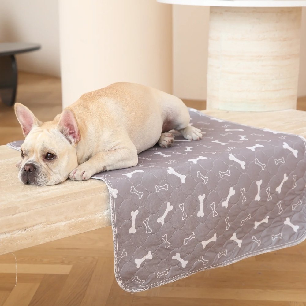 Veluna PuppyPad para Cães