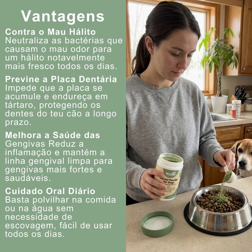 Veluna Pó Dental para Cães