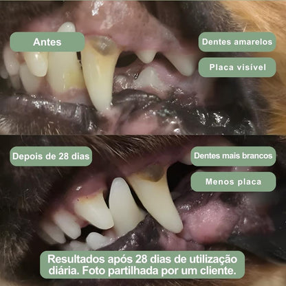 Veluna Pó Dental para Cães