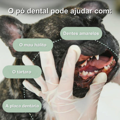 Veluna Pó Dental para Cães