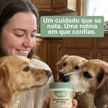 Veluna Pó Dental para Cães