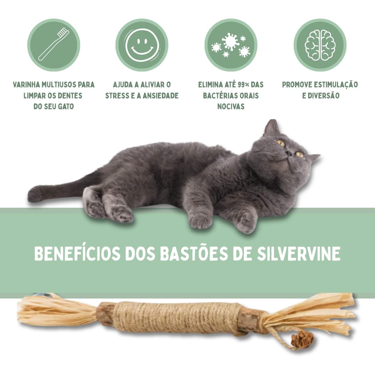 Bastões Dentais de Silvervine para Gatos