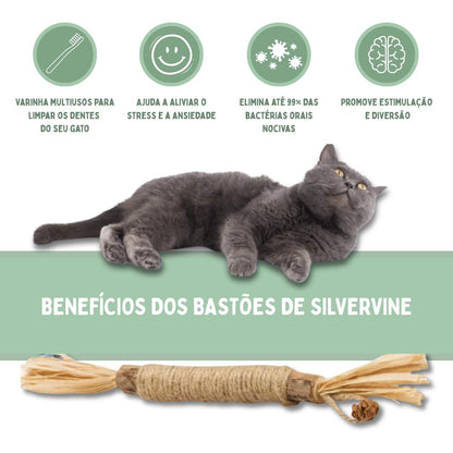 Bastões Dentais de Silvervine para Gatos