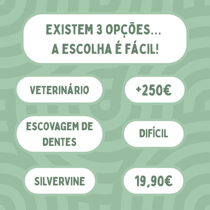 Bastões Dentais de Silvervine para Gatos