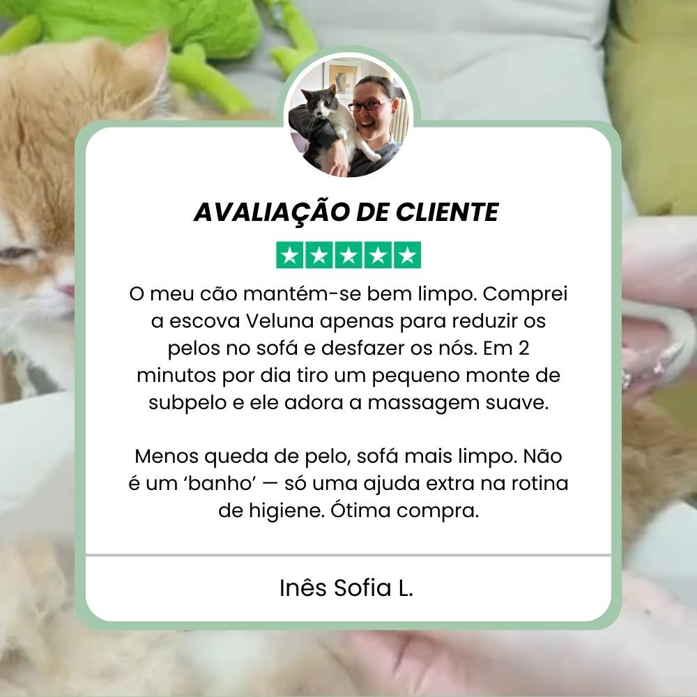 Escova a Vapor Multifuncional 4 em 1 para cães