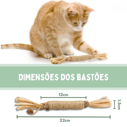 Bastões Dentais de Silvervine para Gatos