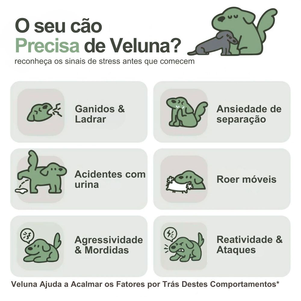 Difusor de Feromonas Veluna para Alívio da Ansiedade em Cães