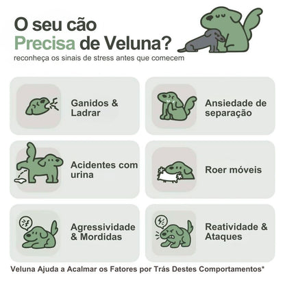 Difusor de Feromonas Veluna para Alívio da Ansiedade em Cães