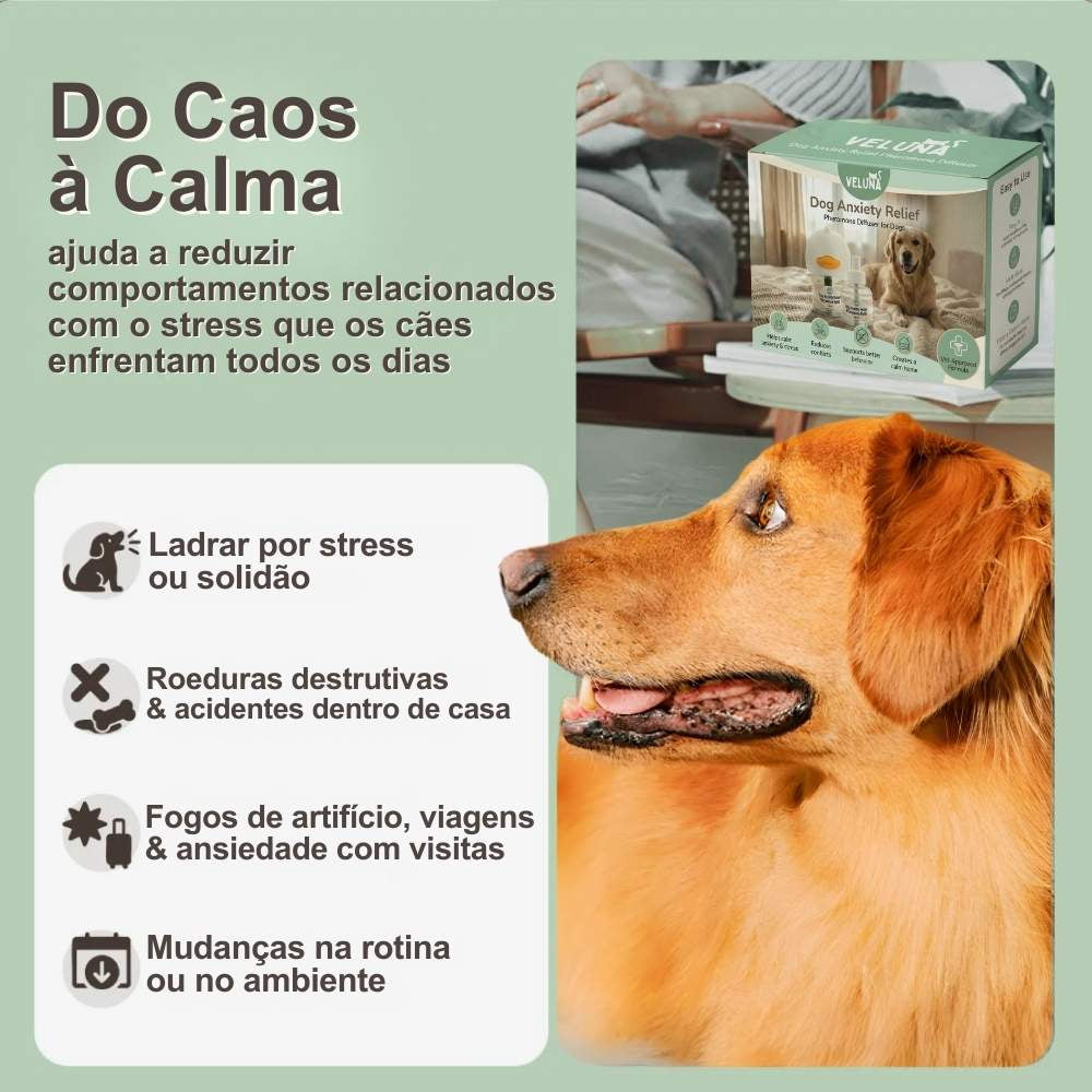 Difusor de Feromonas Veluna para Alívio da Ansiedade em Cães