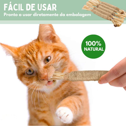 Bastões Dentais de Silvervine para Gatos