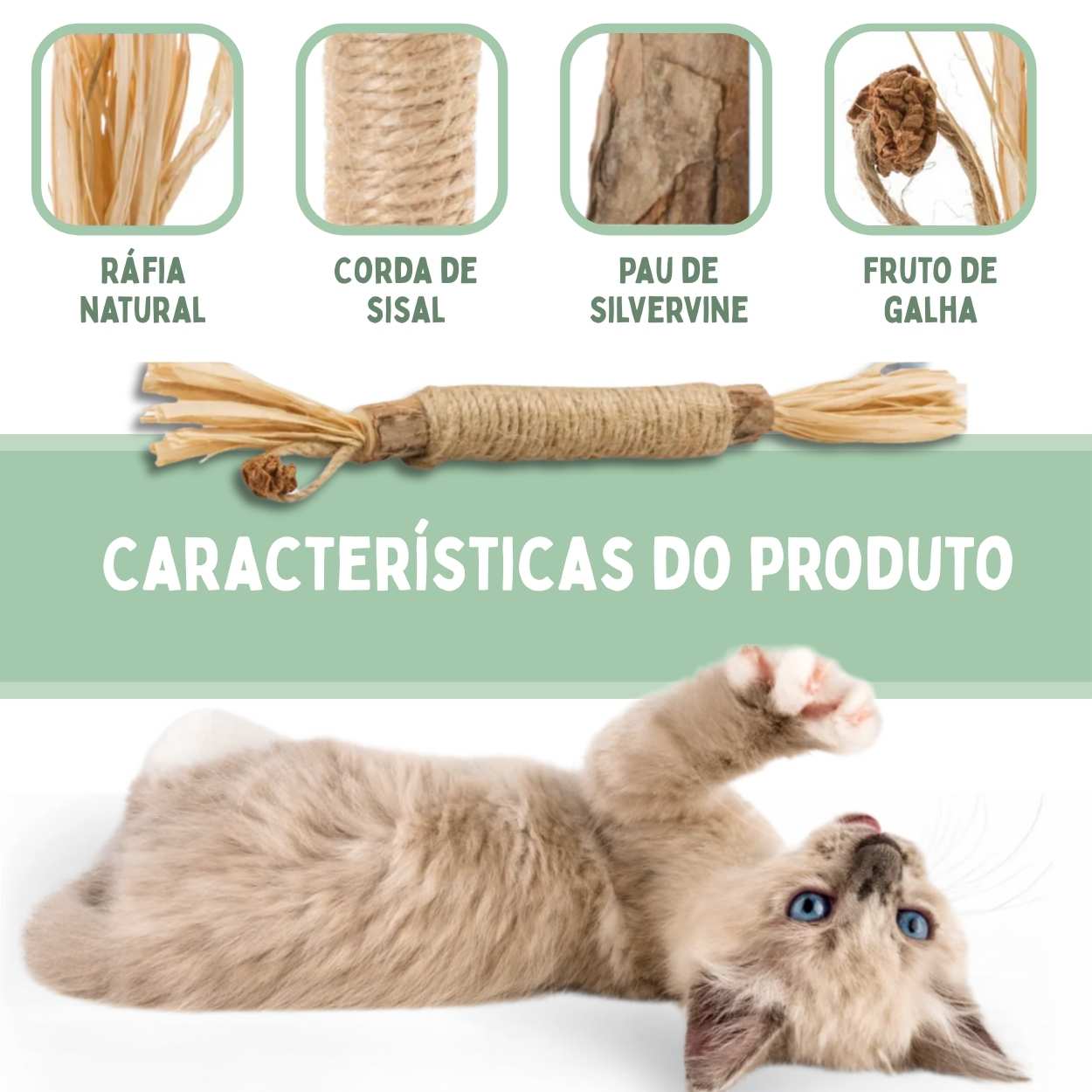 Bastões Dentais de Silvervine para Gatos