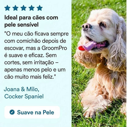 GroomPro – A Escova Anti-Queda de Pelo