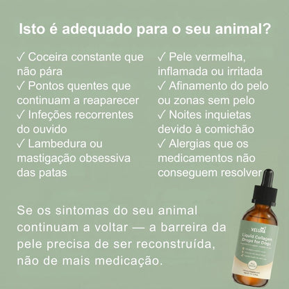 Colagénio Líquido Premium Veluna para Cães