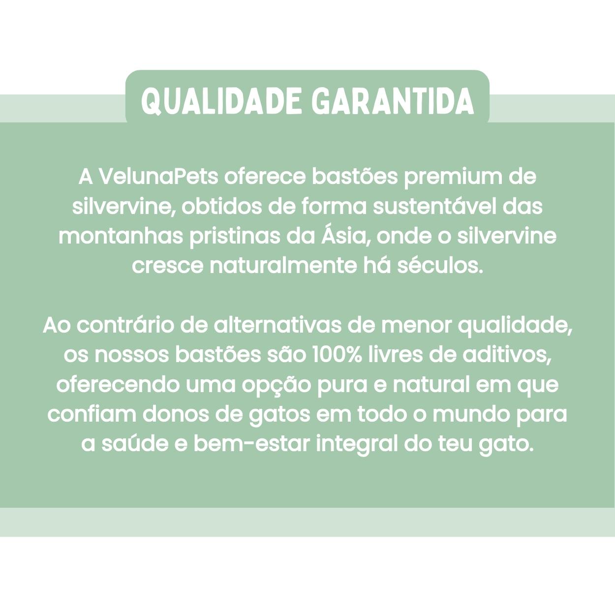 Bastões Dentais de Silvervine para Gatos