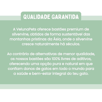 Bastões Dentais de Silvervine para Gatos
