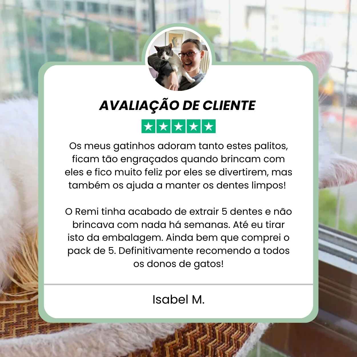 Bastões Dentais de Silvervine para Gatos