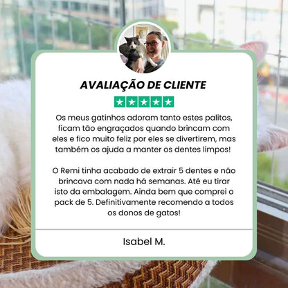 Bastões Dentais de Silvervine para Gatos