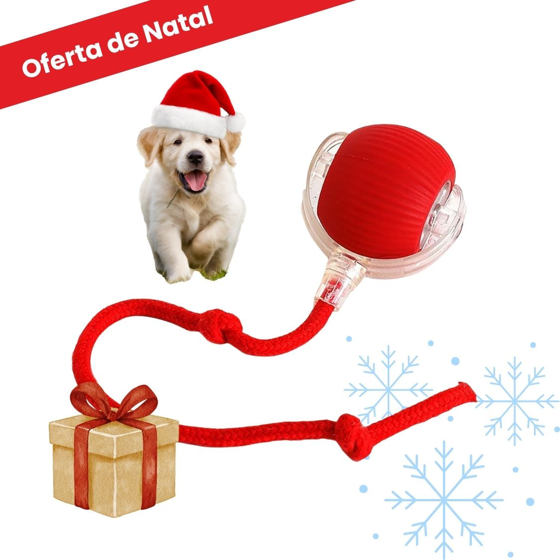 BOLAVIVA – Bola inteligente 100 % autónoma para cães