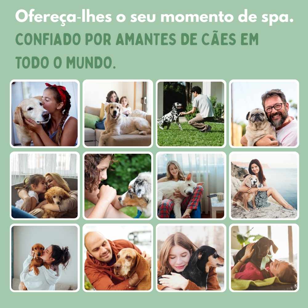 Escova a Vapor Multifuncional 4 em 1 para cães