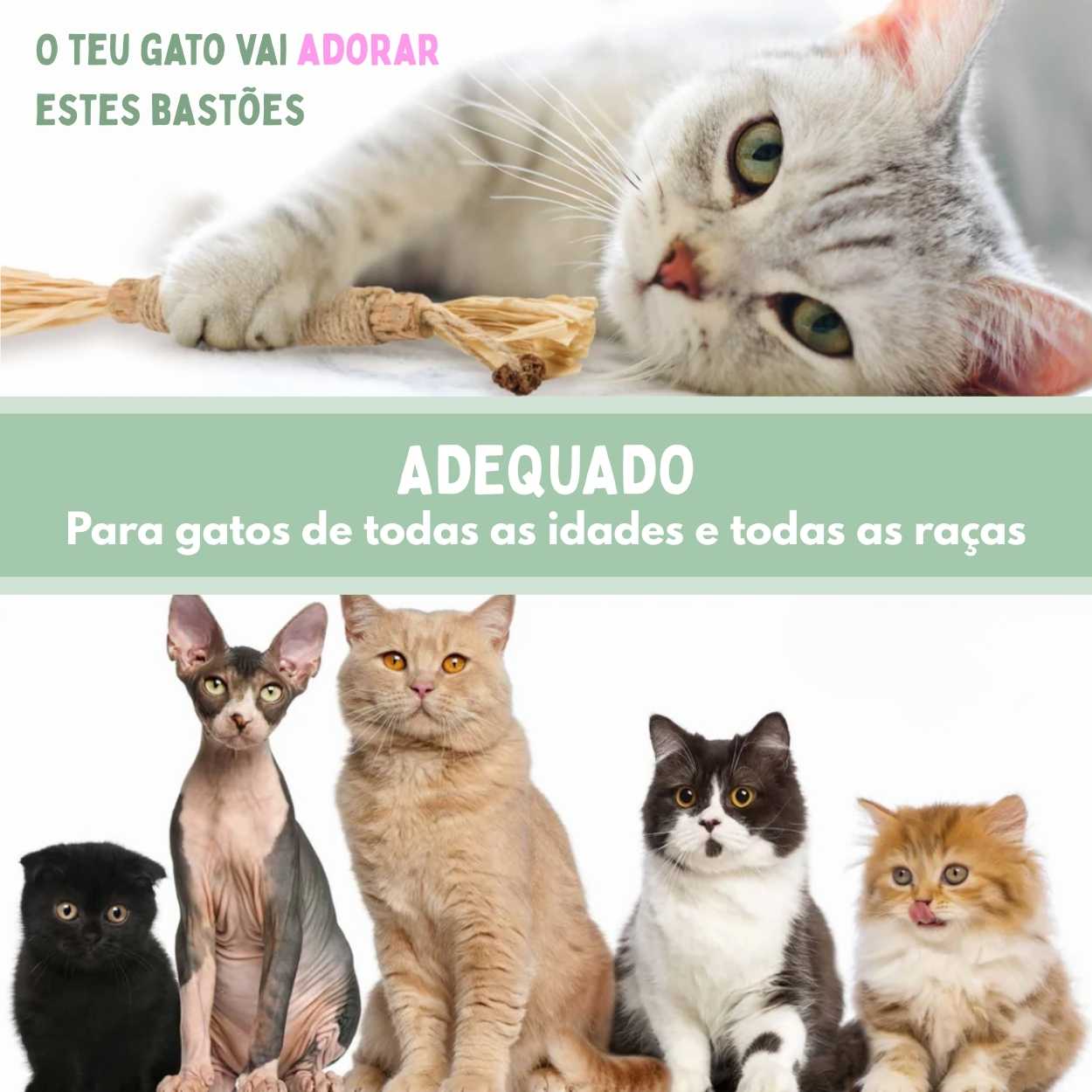 Bastões Dentais de Silvervine para Gatos