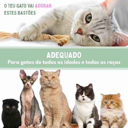 Bastões Dentais de Silvervine para Gatos