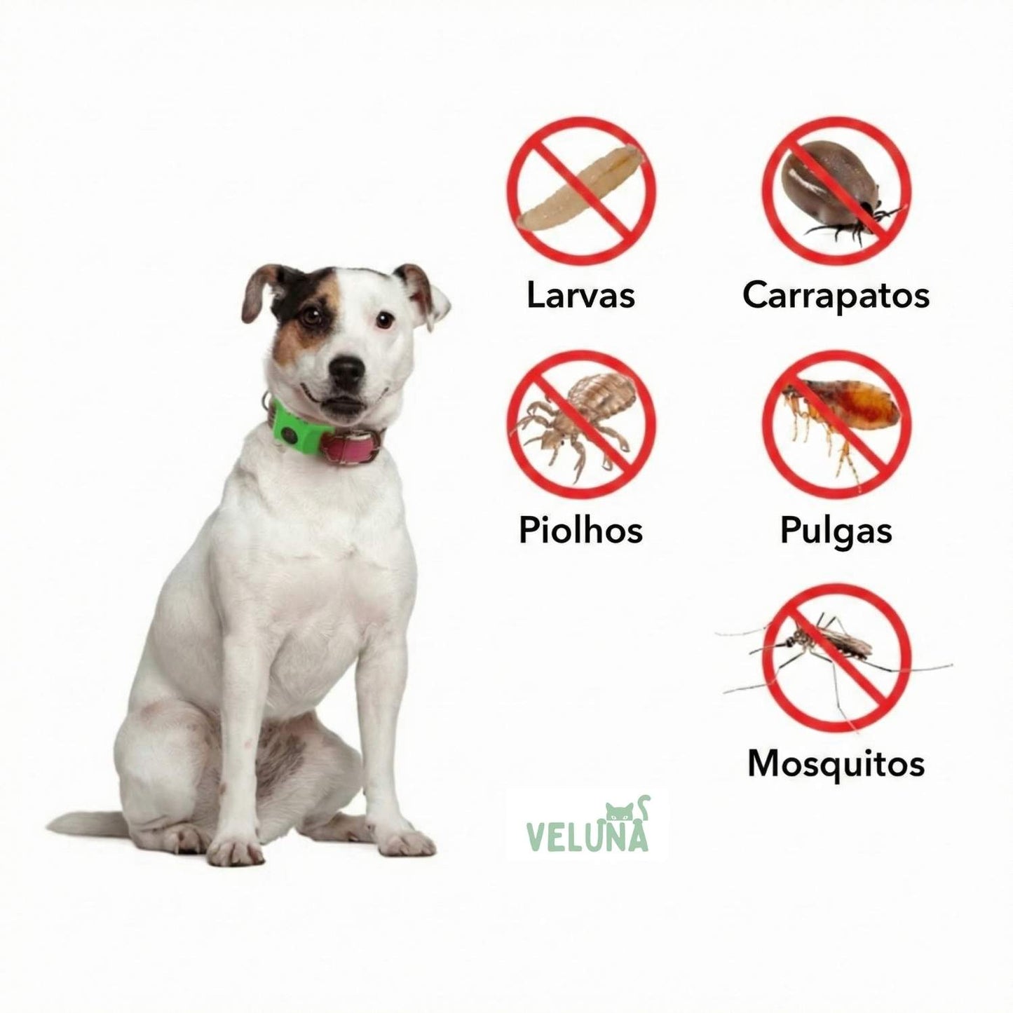 Coleira Veluna - contra Pulgas (Proteção por até 12 Meses)