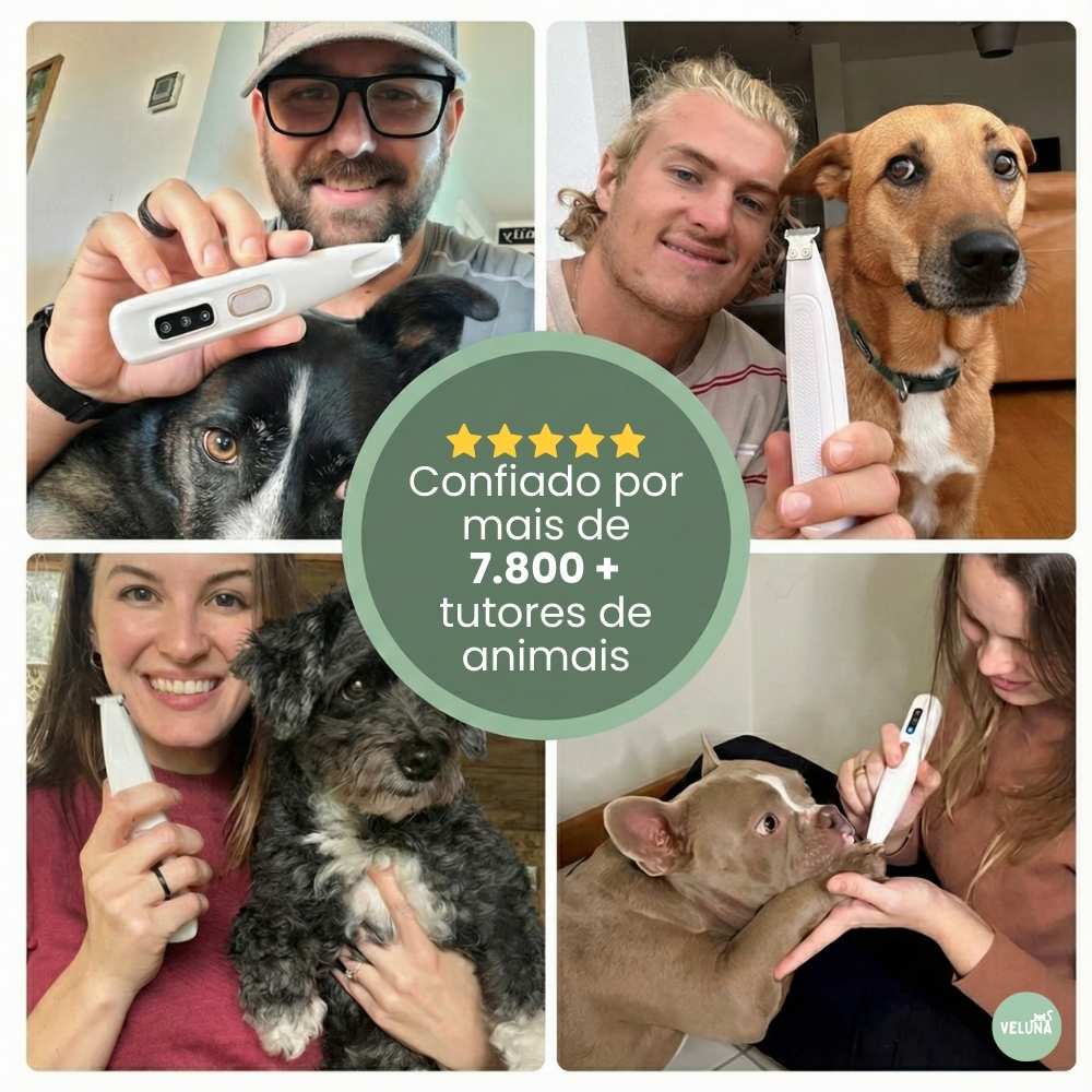 PawTrim Pro – Cuidado das Patas Sem Dor em Segundos