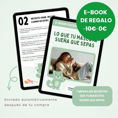 BOLAVIVA – Bola inteligente 100 % autónoma para cães